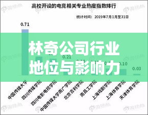 林奇公司行业地位与影响力解析，揭秘其在行业中的排名及深远影响