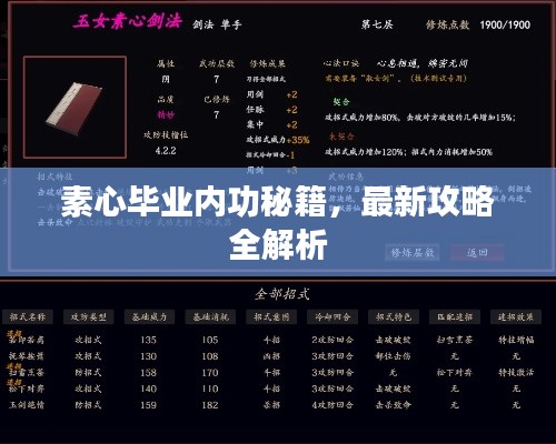 素心毕业内功秘籍，最新攻略全解析