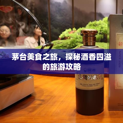 茅台美食之旅，探秘酒香四溢的旅游攻略