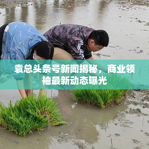 袁总头条号新闻揭秘，商业领袖最新动态曝光