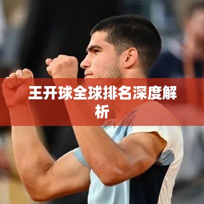 王开球全球排名深度解析