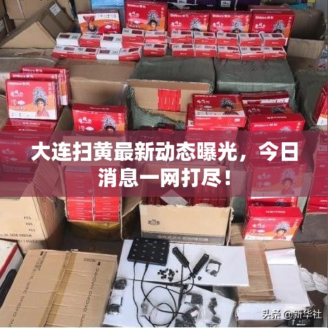 大连扫黄最新动态曝光，今日消息一网打尽！