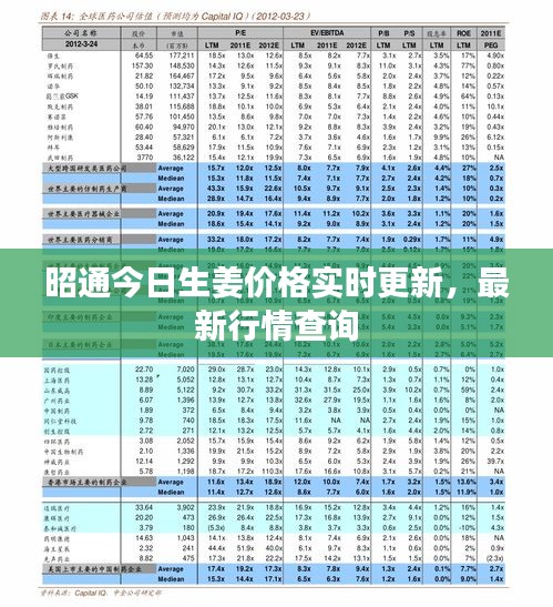 昭通今日生姜价格实时更新，最新行情查询
