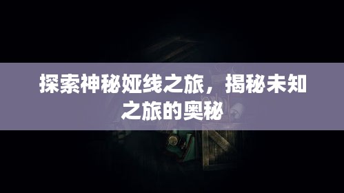 探索神秘娅线之旅，揭秘未知之旅的奥秘