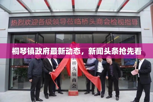 桐琴镇政府最新动态，新闻头条抢先看