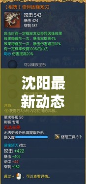 沈阳最新动态更新速递