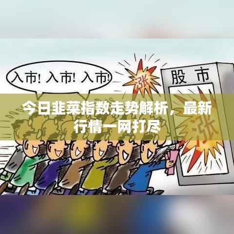 今日韭菜指数走势解析，最新行情一网打尽