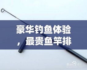豪华钓鱼体验，最贵鱼竿排行榜前十名揭晓