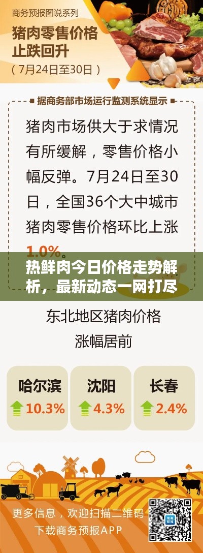 热鲜肉今日价格走势解析，最新动态一网打尽！