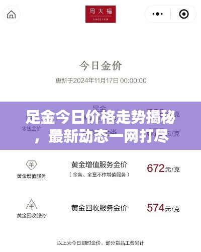 足金今日价格走势揭秘，最新动态一网打尽