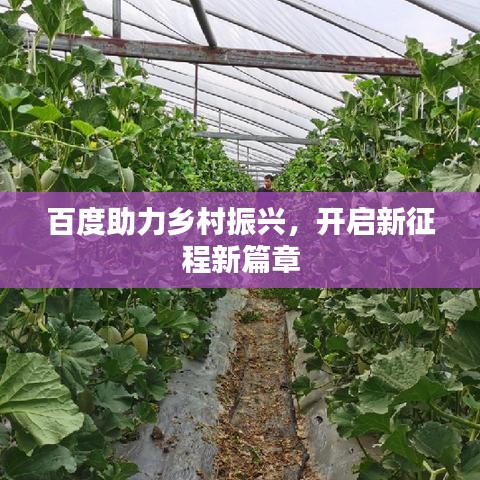 了解鹿瓷