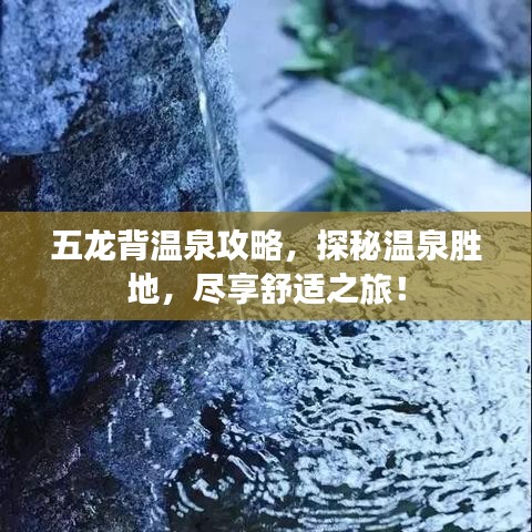 五龙背温泉攻略，探秘温泉胜地，尽享舒适之旅！