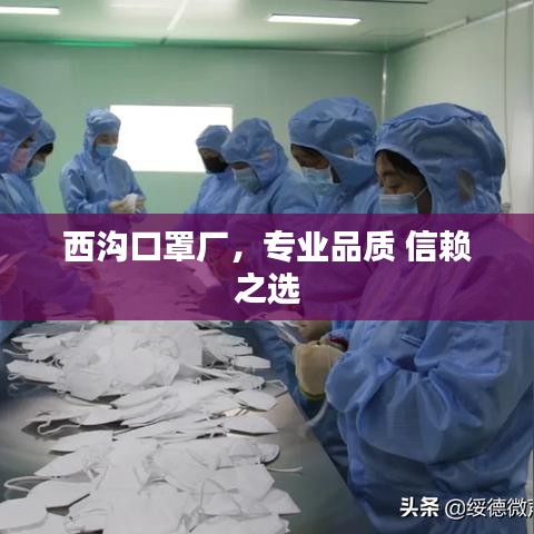 西沟口罩厂，专业品质 信赖之选