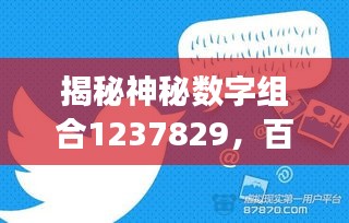 揭秘神秘数字组合1237829，百度背后的故事探秘
