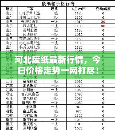 河北废纸最新行情，今日价格走势一网打尽！