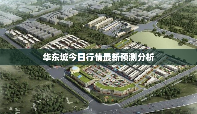 华东城今日行情最新预测分析