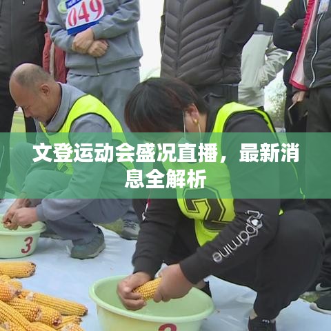 文登运动会盛况直播，最新消息全解析