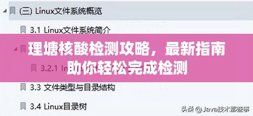 理塘核酸检测攻略，最新指南助你轻松完成检测