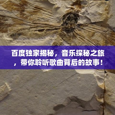 百度独家揭秘，音乐探秘之旅，带你聆听歌曲背后的故事！
