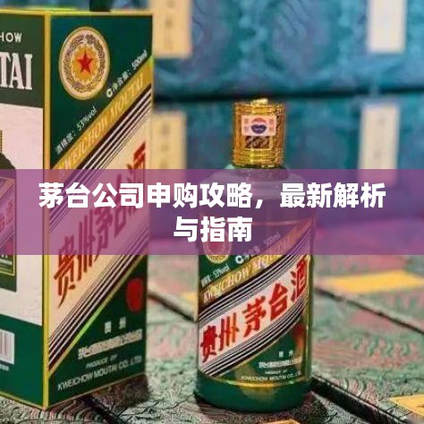 茅台公司申购攻略，最新解析与指南