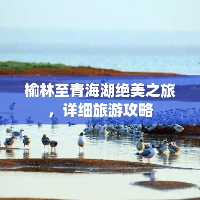 榆林至青海湖绝美之旅，详细旅游攻略