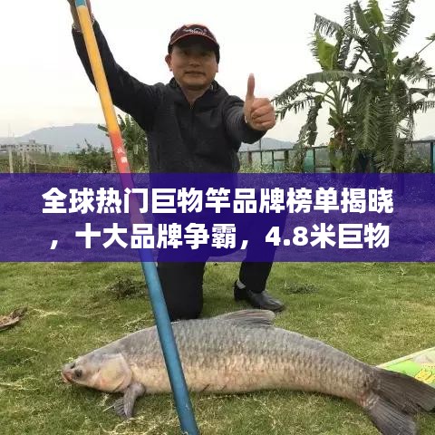 2025年5月12日 第5页