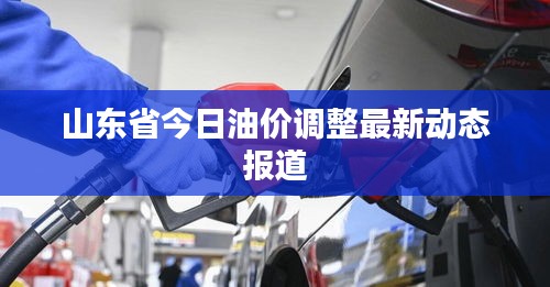 山东省今日油价调整最新动态报道
