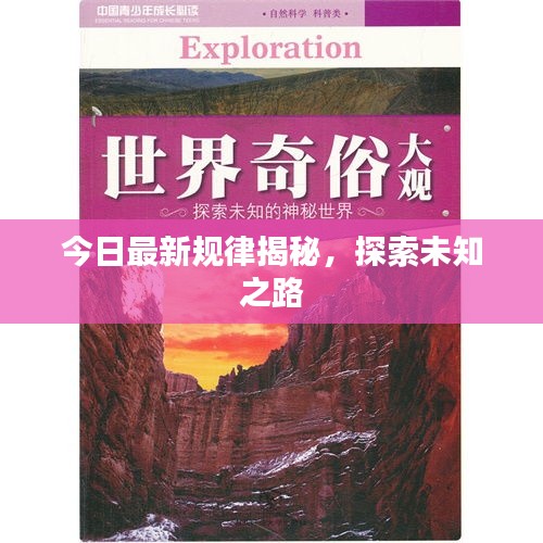 今日最新规律揭秘，探索未知之路