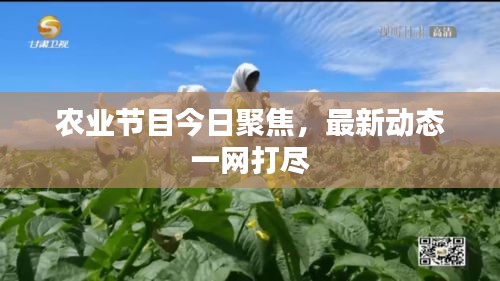 农业节目今日聚焦，最新动态一网打尽