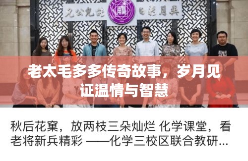 老太毛多多传奇故事，岁月见证温情与智慧