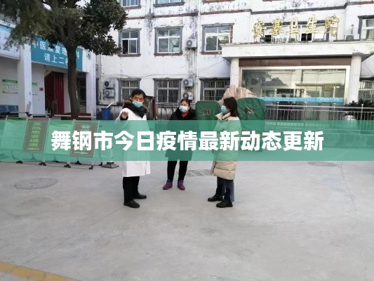 舞钢市今日疫情最新动态更新