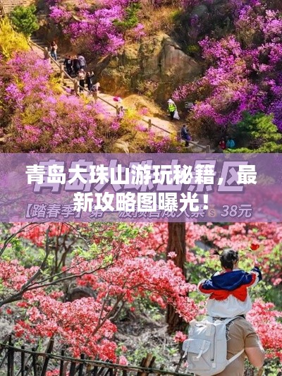 青岛大珠山游玩秘籍，最新攻略图曝光！