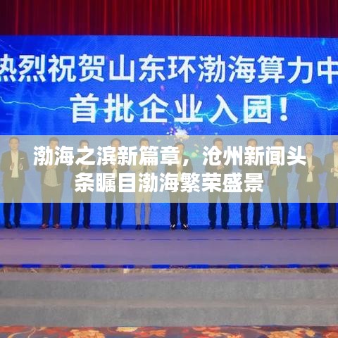 渤海之滨新篇章，沧州新闻头条瞩目渤海繁荣盛景