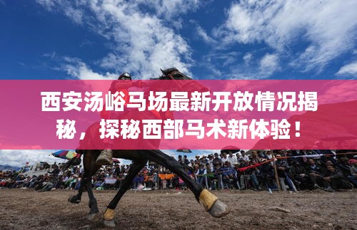 西安汤峪马场最新开放情况揭秘，探秘西部马术新体验！