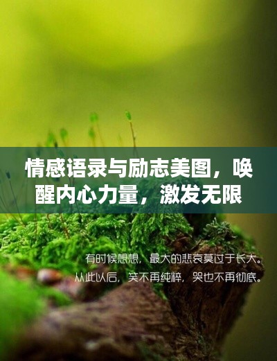 情感语录与励志美图，唤醒内心力量，激发无限潜能