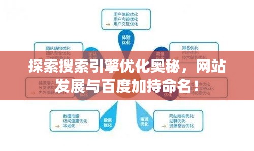 探索搜索引擎优化奥秘，网站发展与百度加持命名！