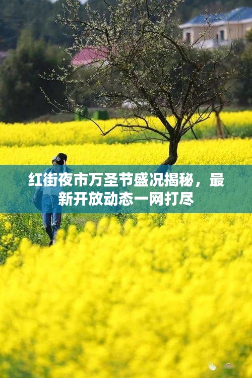 红街夜市万圣节盛况揭秘，最新开放动态一网打尽