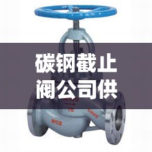 碳钢截止阀公司供应排名榜单揭晓！