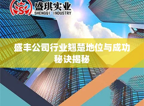 盛丰公司行业翘楚地位与成功秘诀揭秘