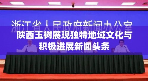 陕西玉树展现独特地域文化与积极进展新闻头条