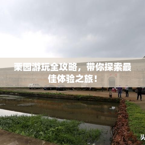 栗园游玩全攻略，带你探索最佳体验之旅！