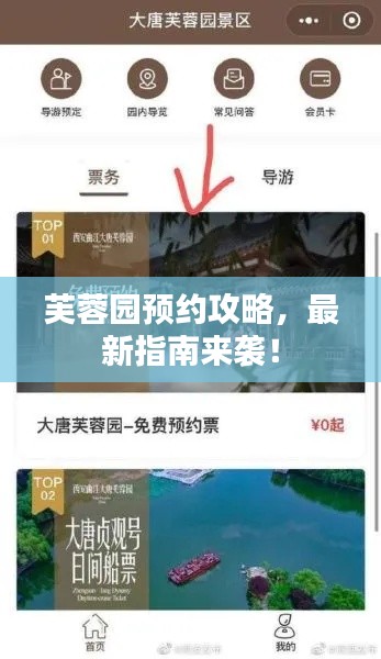 芙蓉园预约攻略，最新指南来袭！