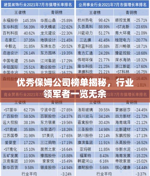 优秀保姆公司榜单揭秘，行业领军者一览无余