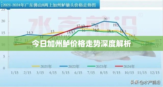 今日加州鲈价格走势深度解析