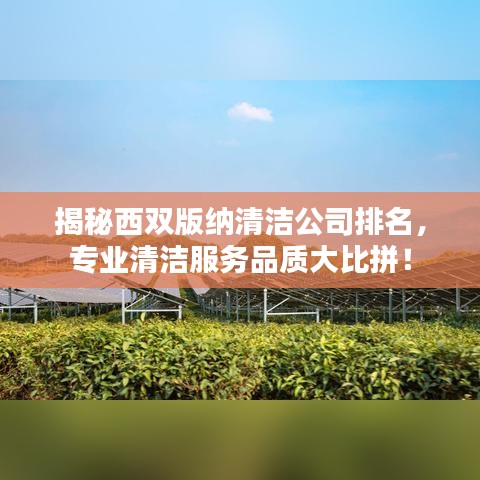 揭秘西双版纳清洁公司排名，专业清洁服务品质大比拼！