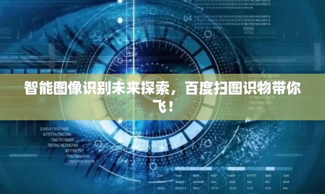 智能图像识别未来探索，百度扫图识物带你飞！