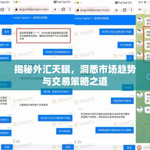 揭秘外汇天眼，洞悉市场趋势与交易策略之道