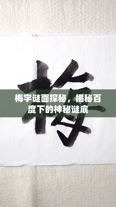 梅字谜面探秘，揭秘百度下的神秘谜底