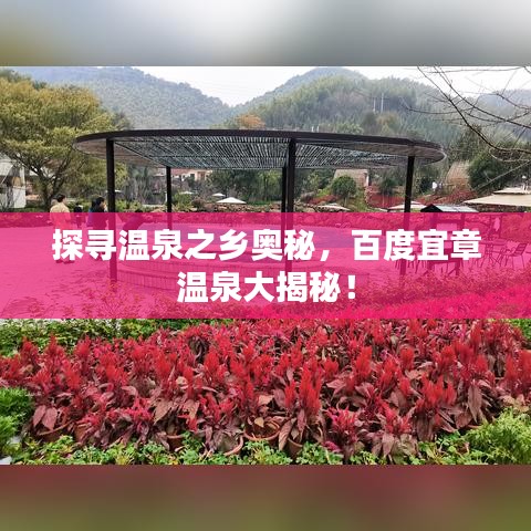 探寻温泉之乡奥秘，百度宜章温泉大揭秘！
