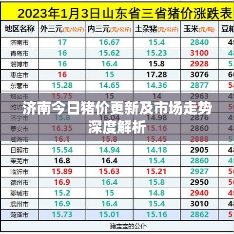 济南今日猪价更新及市场走势深度解析